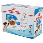 Royal Canin mini puppy 85 g – Zbozi.Blesk.cz