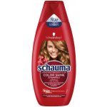 Schauma Color šampon pro lesk barvy 250 ml – Zboží Mobilmania