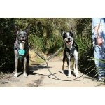 DOOG Dual Walker Rozdvojka na vodítko pro psy – Zboží Mobilmania