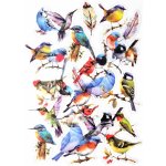 Galeria Papieru Dekorativní samolepky fóliové - ptáčci, 40 ks – Sleviste.cz