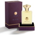 Amouage Beloved Man parfémovaná voda pánská 100 ml – Hledejceny.cz