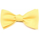 Avantgard Vázací s kapesníčkem 578 9927 Žlutá mat – Hledejceny.cz