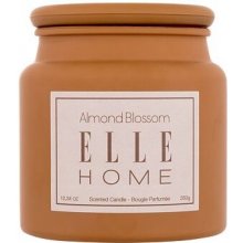 Elle Home Almond Blossom 350 g