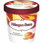 Häagen-Dazs Mango mražený krém smetanový s malinovou polevou 460 ml – Zboží Dáma