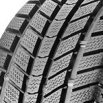 Roadstone Eurowin 195/70 R15 104R – Hledejceny.cz