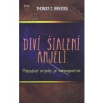 Pobozkať anjela je nebezpečné - Thomas C. Brezina – Hledejceny.cz