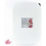 PM Aqualog esence do parních kabin orchidej 862-010/D 10 l – Hledejceny.cz
