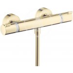 Hansgrohe 13116990 – Hledejceny.cz