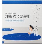 Round Lab Birch Juice Moisturizing Cream s březovou šťávou 80 ml – Zbozi.Blesk.cz