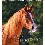 MFP 1061252 nástěnný malý Horses 2022 – Zbozi.Blesk.cz