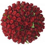 Kytice 100 rudých růží RED TORCH 60cm – Zboží Dáma