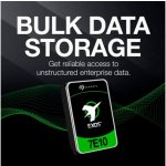 Seagate Exos 7E10 10TB, ST10000NM017B – Zboží Živě
