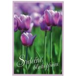 Pohlednice Srdečné blahopřání - tulipány – Zboží Dáma