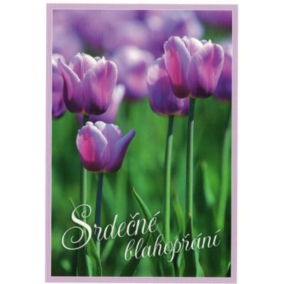Pohlednice Srdečné blahopřání - tulipány – Zboží Dáma
