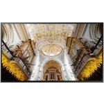 Samsung QB49N – Zboží Živě