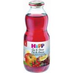 HiPP BIO Z červených plodů ovoce 500 ml – Hledejceny.cz