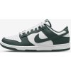 Skate boty Nike Dunk Low Retro BTTYS