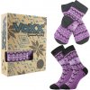 VoXX ponožky Trondelag fialové