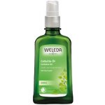 Weleda Březový olej na celulitidu 100 ml – Hledejceny.cz