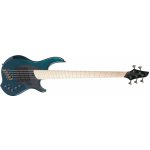 Dingwall NG3 “Nolly” Signature 5 – Sleviste.cz