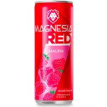 Magnesia Red ochucená minerální voda Malina 4 x 0,33 l – Zbozi.Blesk.cz
