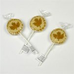 Natural Jihlava Lízátko javorové s listem 10 g – Hledejceny.cz