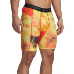 Under Armour Curry HG Prtd Shorts 1379829-914 – Hledejceny.cz