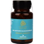 Healing Nature Aktivní dlouhověkost Guduchi Bylinné kapsle 60 kapslí – Hledejceny.cz