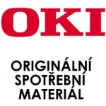 OKI 45862820 - originální – Hledejceny.cz