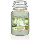 Yankee Candle Afternoon Escape 623 g