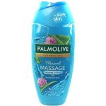 Palmolive Thermal Spa Mineral Massage sprchový gel 250 ml – Zboží Mobilmania