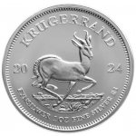Krugerrand South African Mint stříbrná mince 1 oz – Zboží Dáma