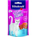 Vitakraft Yums losos 40 g – Zbozi.Blesk.cz