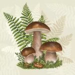 Pol-Mak Collection Ubrousek 33x33cm Houby a kapradí – Zboží Dáma