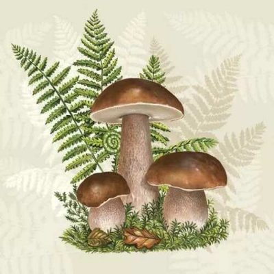 Pol-Mak Collection Ubrousek 33x33cm Houby a kapradí – Zboží Dáma