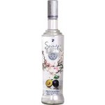 Slivovitz plum brandy 45% 0,7 l (holá láhev) – Zboží Dáma