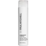 Paul Mitchell Invisiblewear Conditioner 300 ml – Hledejceny.cz