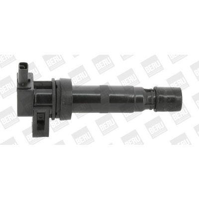 Zapalovací cívka BorgWarner (BERU) ZS531 – Hledejceny.cz