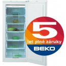 Beko FSA 21320