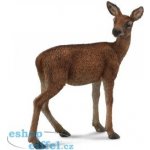 Collecta Laň – Sleviste.cz