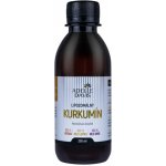 Adelle Davis Liposomální Kurkumin 200 ml – Hledejceny.cz