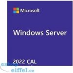 MICROSOFT Windows Server CAL 2019 CAL OEM R18-06466 – Zboží Mobilmania