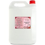 Ecoliquid Antiviral dezinfekce na ruce sprej granátové jablko 5 l – Zboží Mobilmania