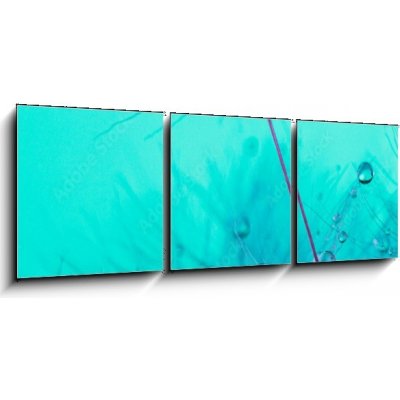 Obraz 3D třídílný - 150 x 50 cm - Parachute seed from a dandelion on a blue background Padák osivo z pampelišky na modrém pozadí – Zboží Mobilmania