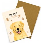 ePiPí Blahopřání - Jsi moje zlato – Zboží Mobilmania