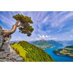 Castorland Výhled na jezero Uri Švýcarsko 1000 dílků – Zboží Dáma