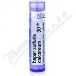 HEPAR SULFURIS CALCAREUM POR 30CH GRA 4G – Hledejceny.cz