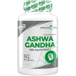 6PAK Ashwagandha 666 mg 90 tablet – Hledejceny.cz
