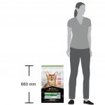 Pro Plan Adult Sterilised Renal Plus losos 10 kg – Zboží Dáma