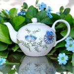 Konvice čajová se sítkem 0,95l Nature cibulák Český porcelán Dubí – Hledejceny.cz